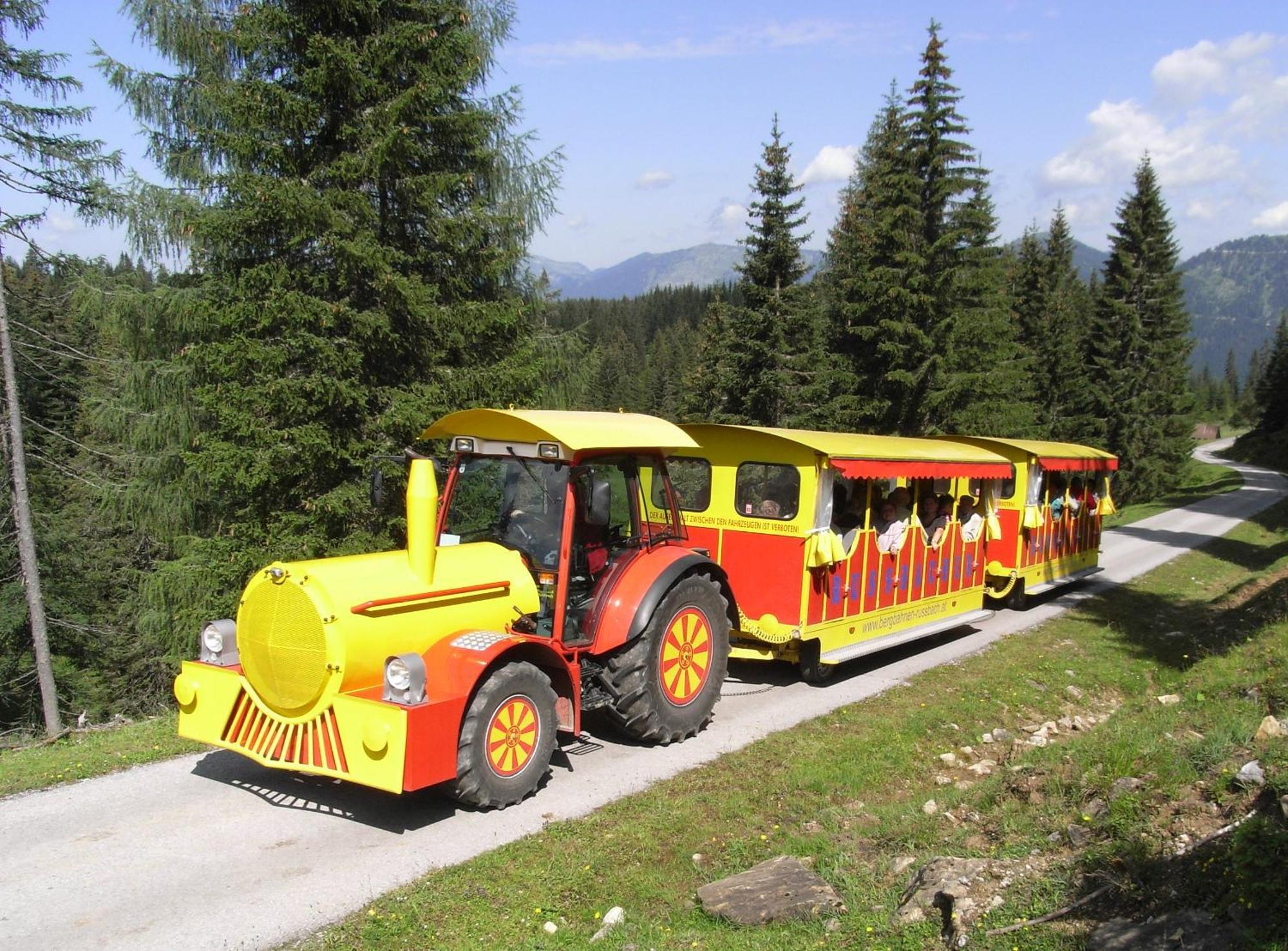 Dachstein West Hotel Gmbh-Kirchenwirt Russbach Russbach am Pass Gschuett Luaran gambar